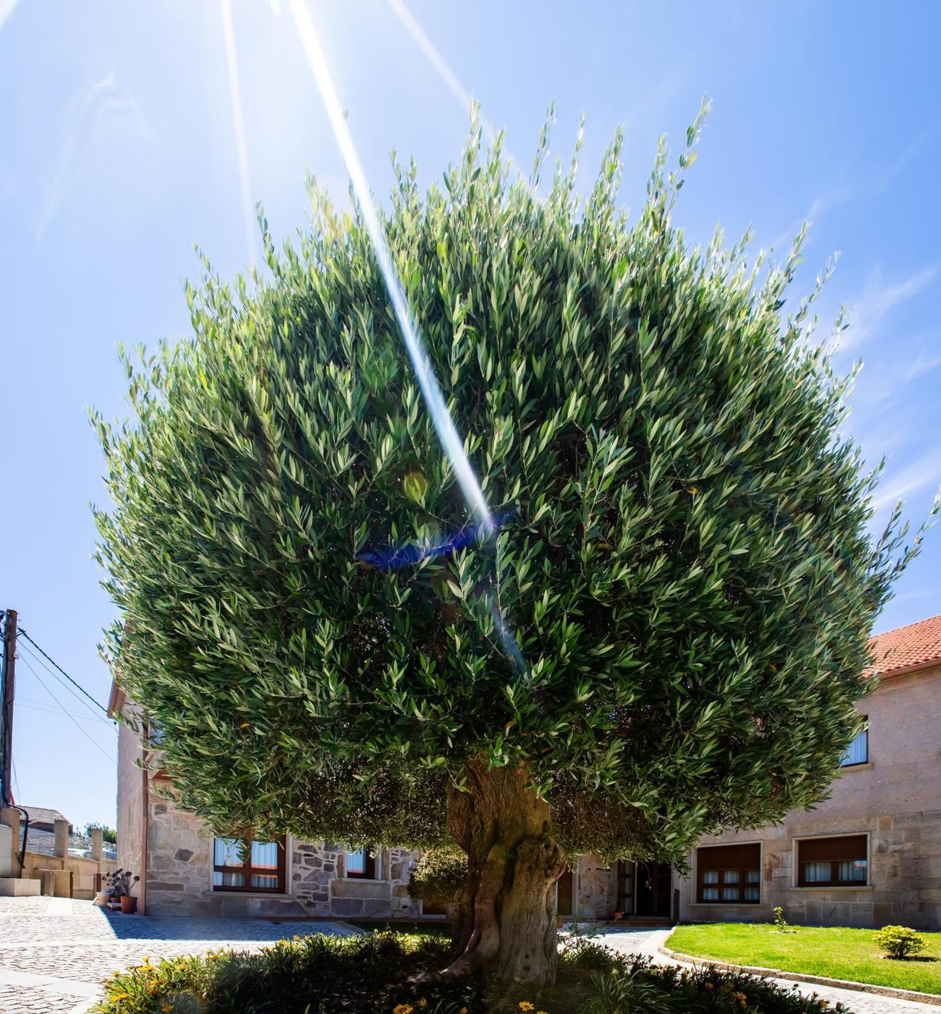 Appartamento Eira Do Mar Sanxenxo Aios
